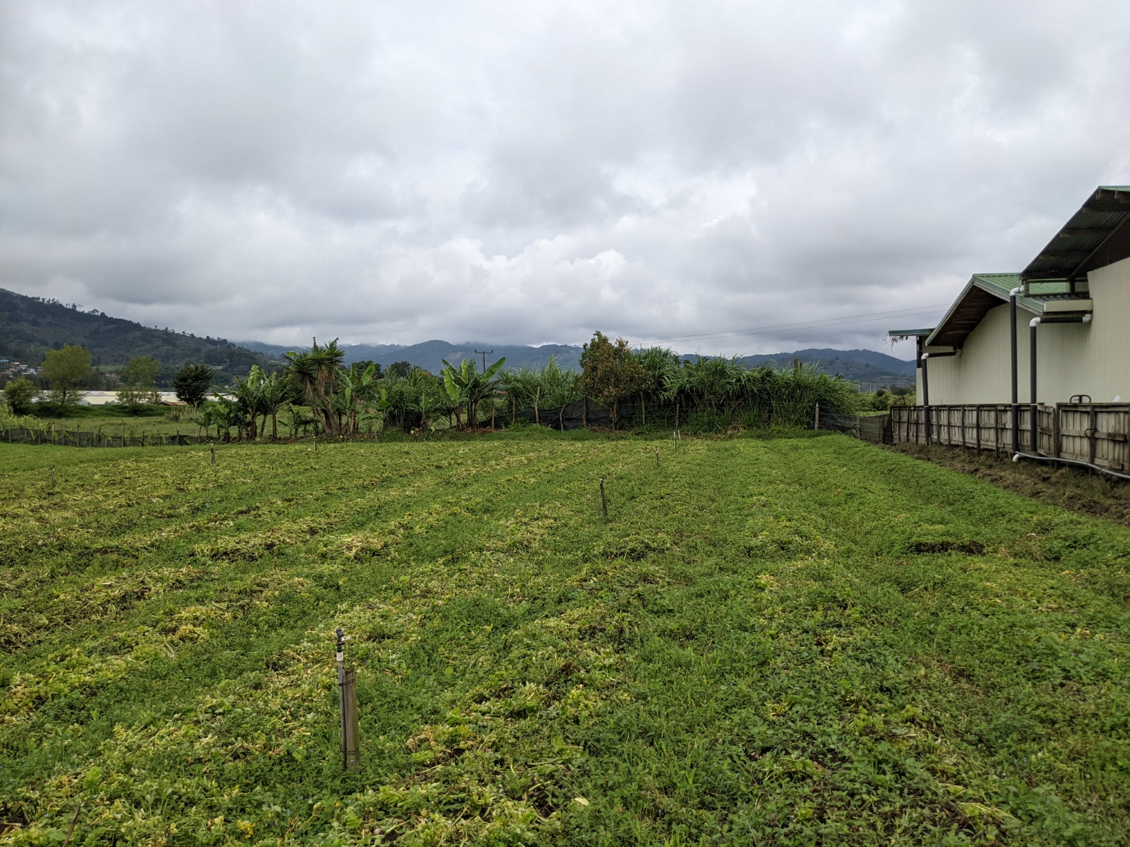2 bed Land For Sale in El Tejar, Cartago - thumb 14