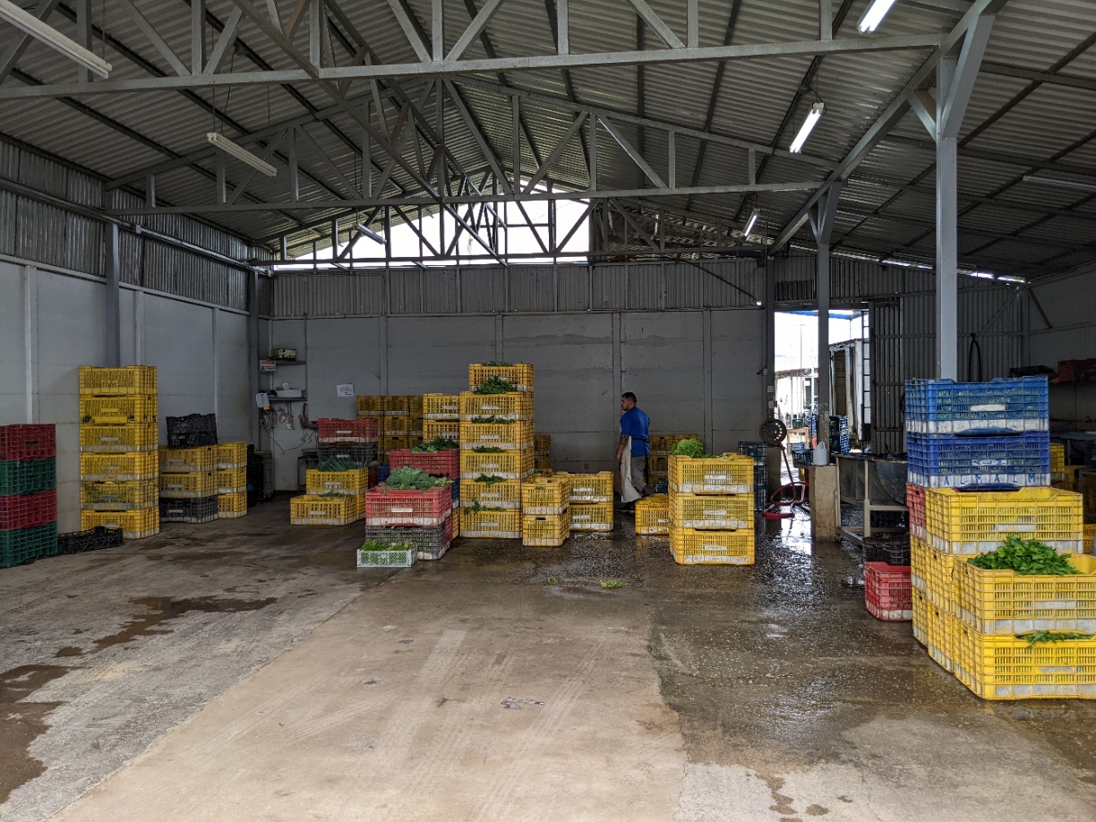 2 bed Land For Sale in El Tejar, Cartago - thumb 19