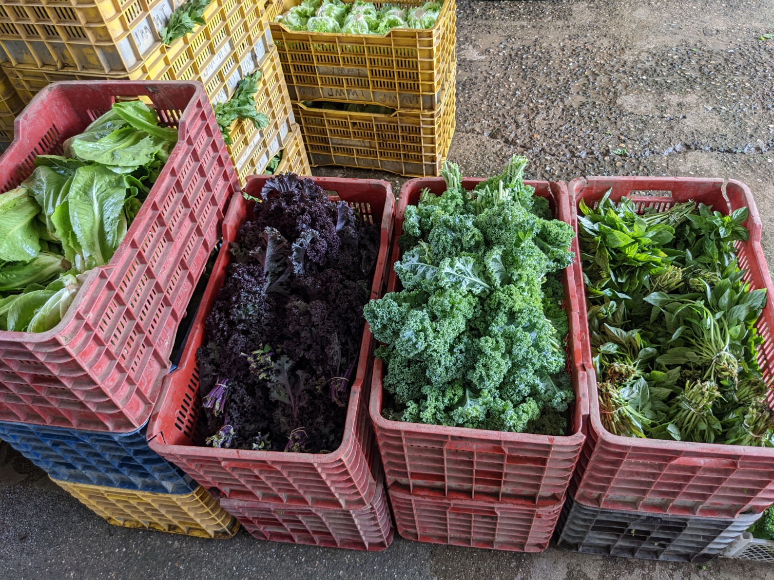 2 bed Land For Sale in El Tejar, Cartago - thumb 21