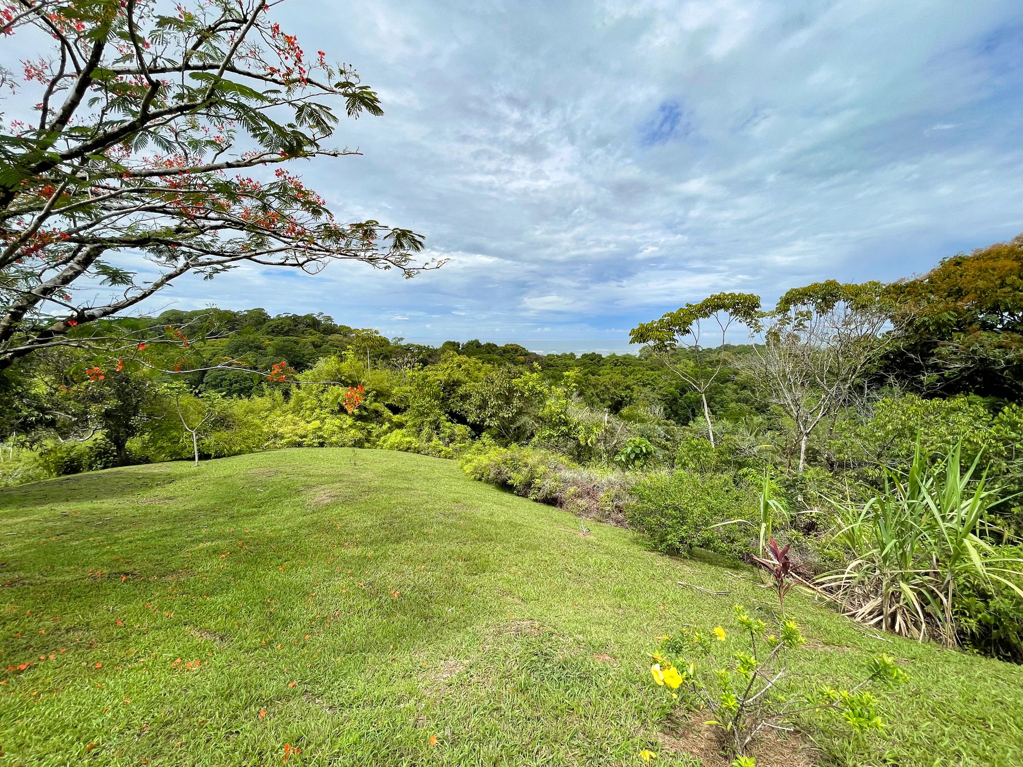 2 bed Single Family Homes For Sale in Ojochal, Puntarenas - thumb 13