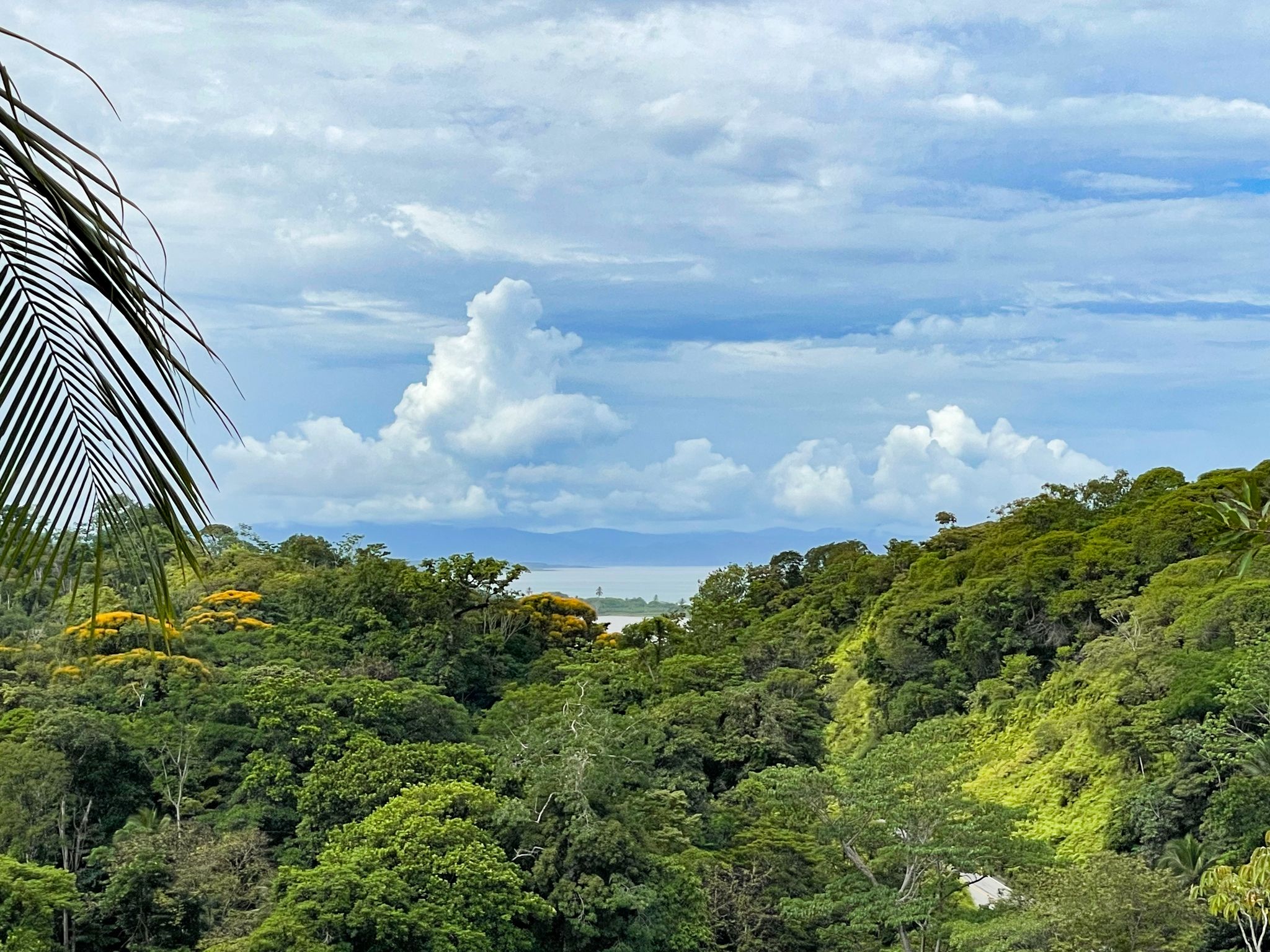 2 bed Single Family Homes For Sale in Ojochal, Puntarenas - thumb 12