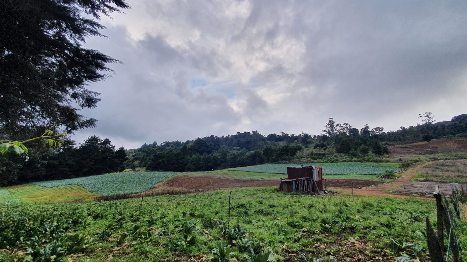 0 bed Land For Sale in Santa Maria, San Jose - thumb 2