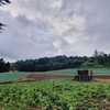 - Land for sale in Copey de Dota