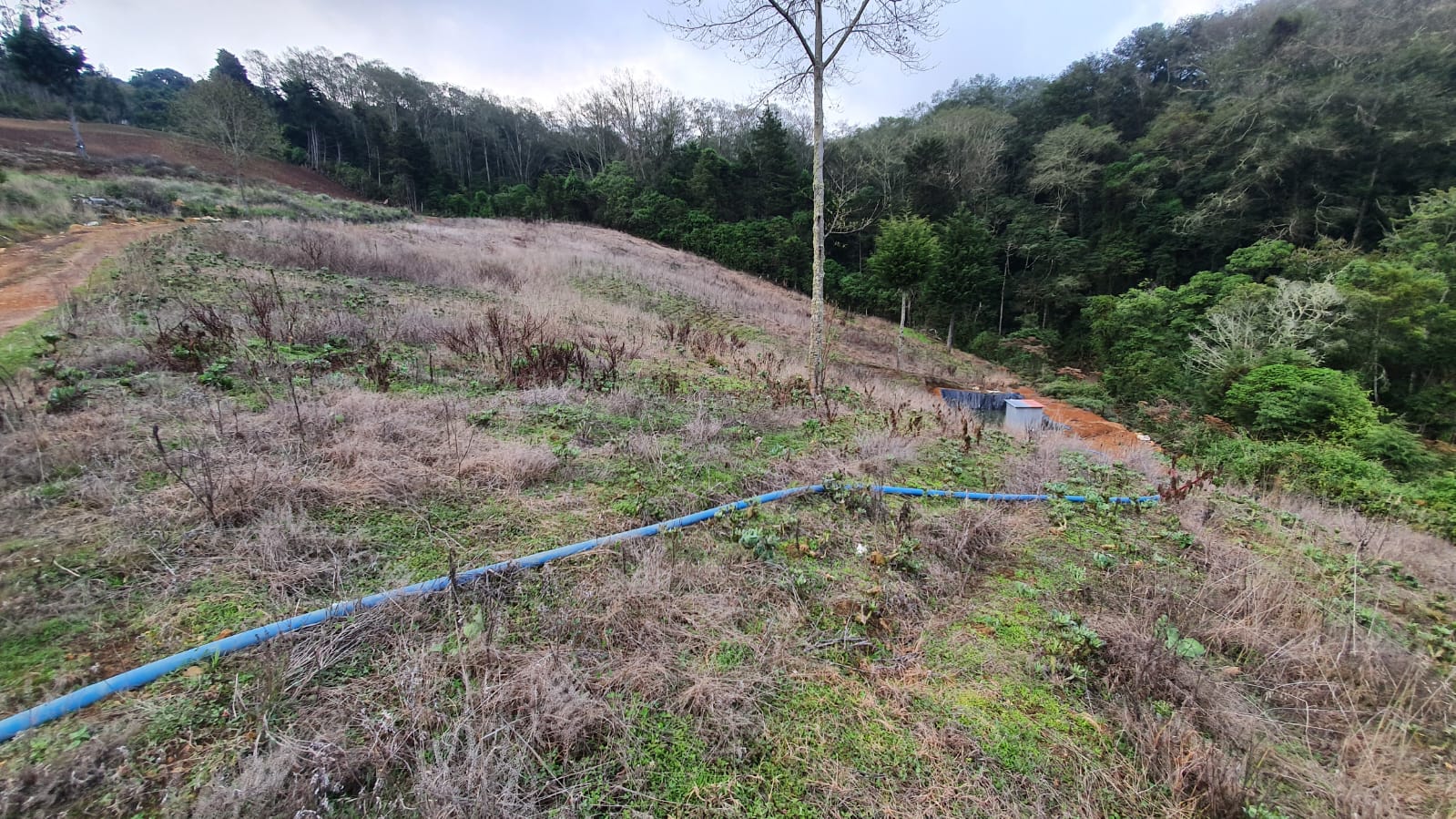 0 bed Land For Sale in Santa Maria, San Jose - thumb 4