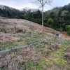  - Land for sale in Copey de Dota