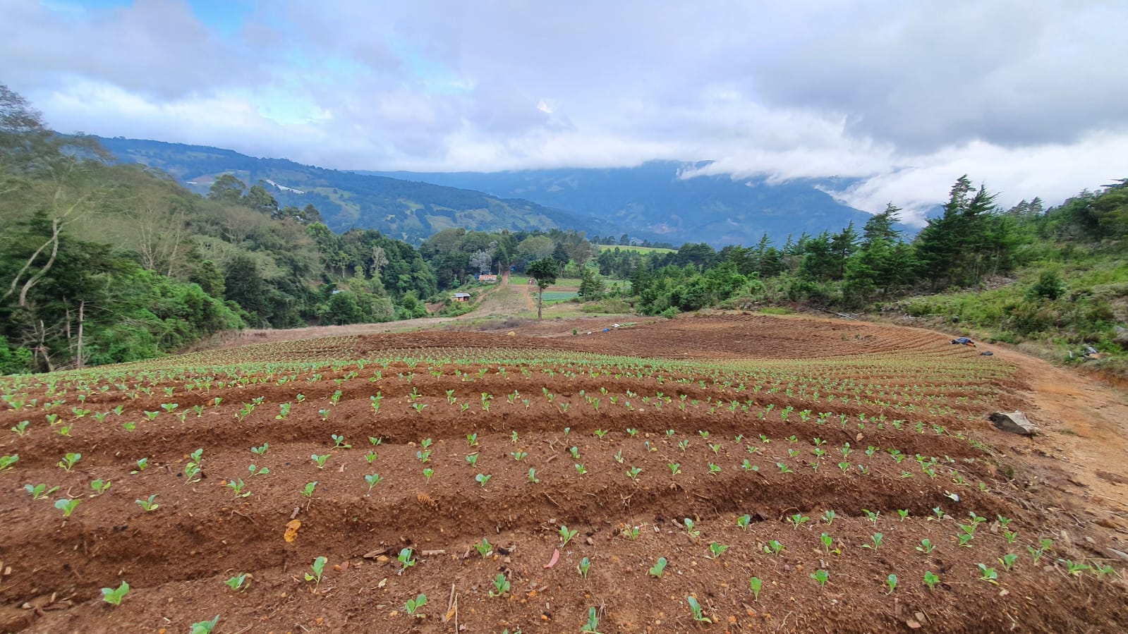 0 bed Land For Sale in Santa Maria, San Jose - thumb 6