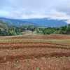  - Land for sale in Copey de Dota