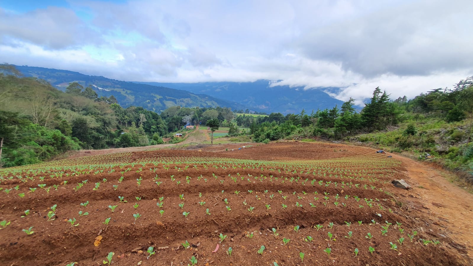 0 bed Land For Sale in Santa Maria, San Jose - thumb 8