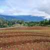  - Land for sale in Copey de Dota