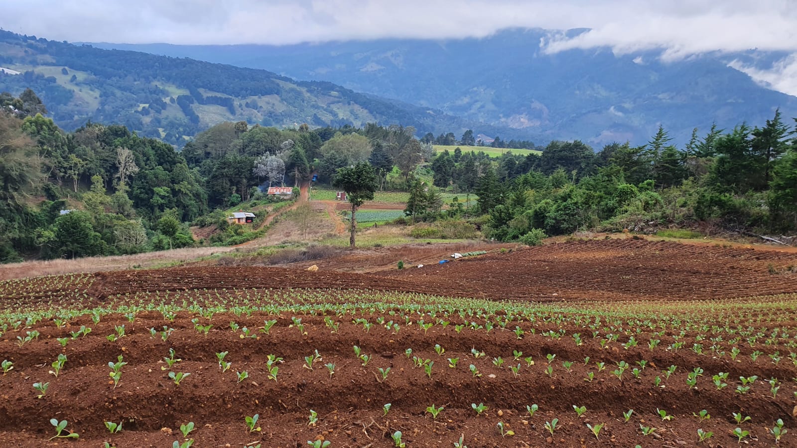 0 bed Land For Sale in Santa Maria, San Jose - thumb 7