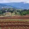  - Land for sale in Copey de Dota