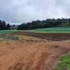 - Land for sale in Copey de Dota