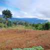  - Land for sale in Copey de Dota