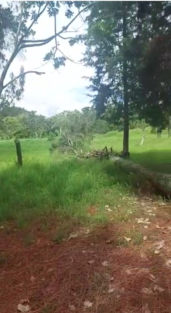 0 bed Land For Sale in Santo Domingo, Heredia - thumb 1