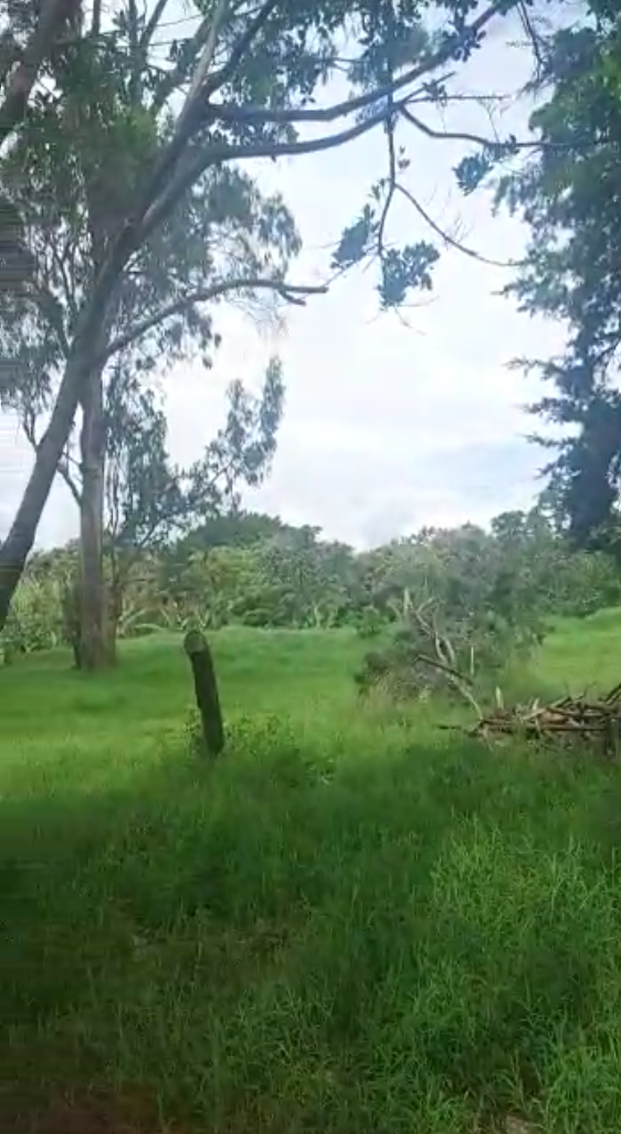 0 bed Land For Sale in Santo Domingo, Heredia - thumb 3