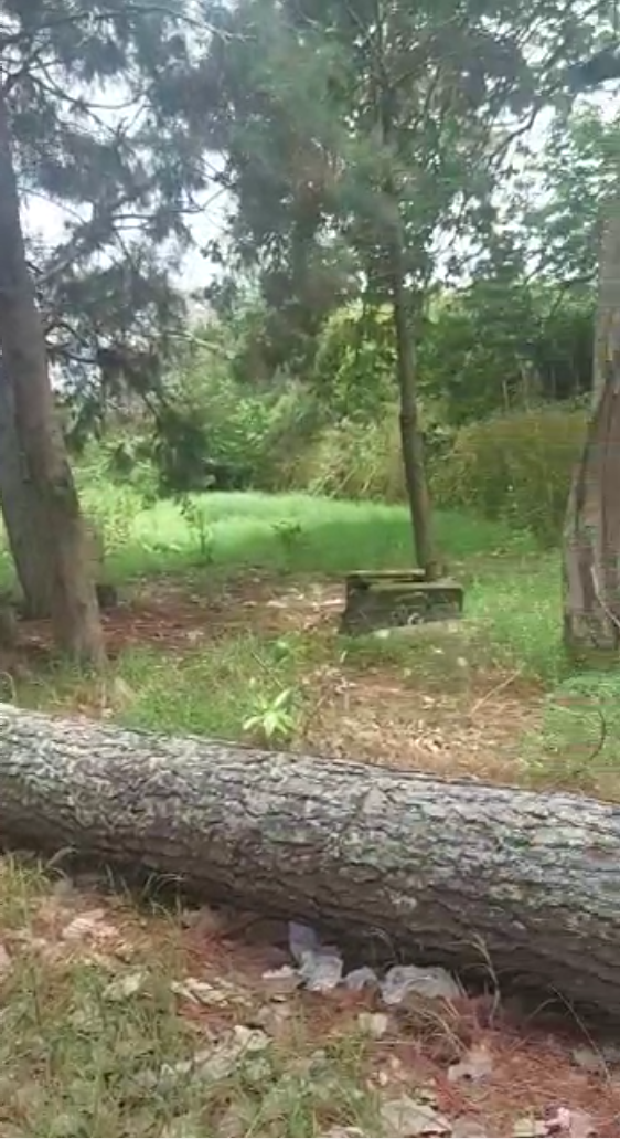 0 bed Land For Sale in Santo Domingo, Heredia - thumb 2