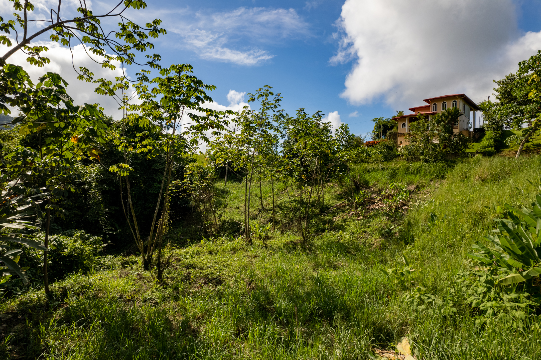 0 bed Land For Sale in Ojochal, Puntarenas - thumb 11