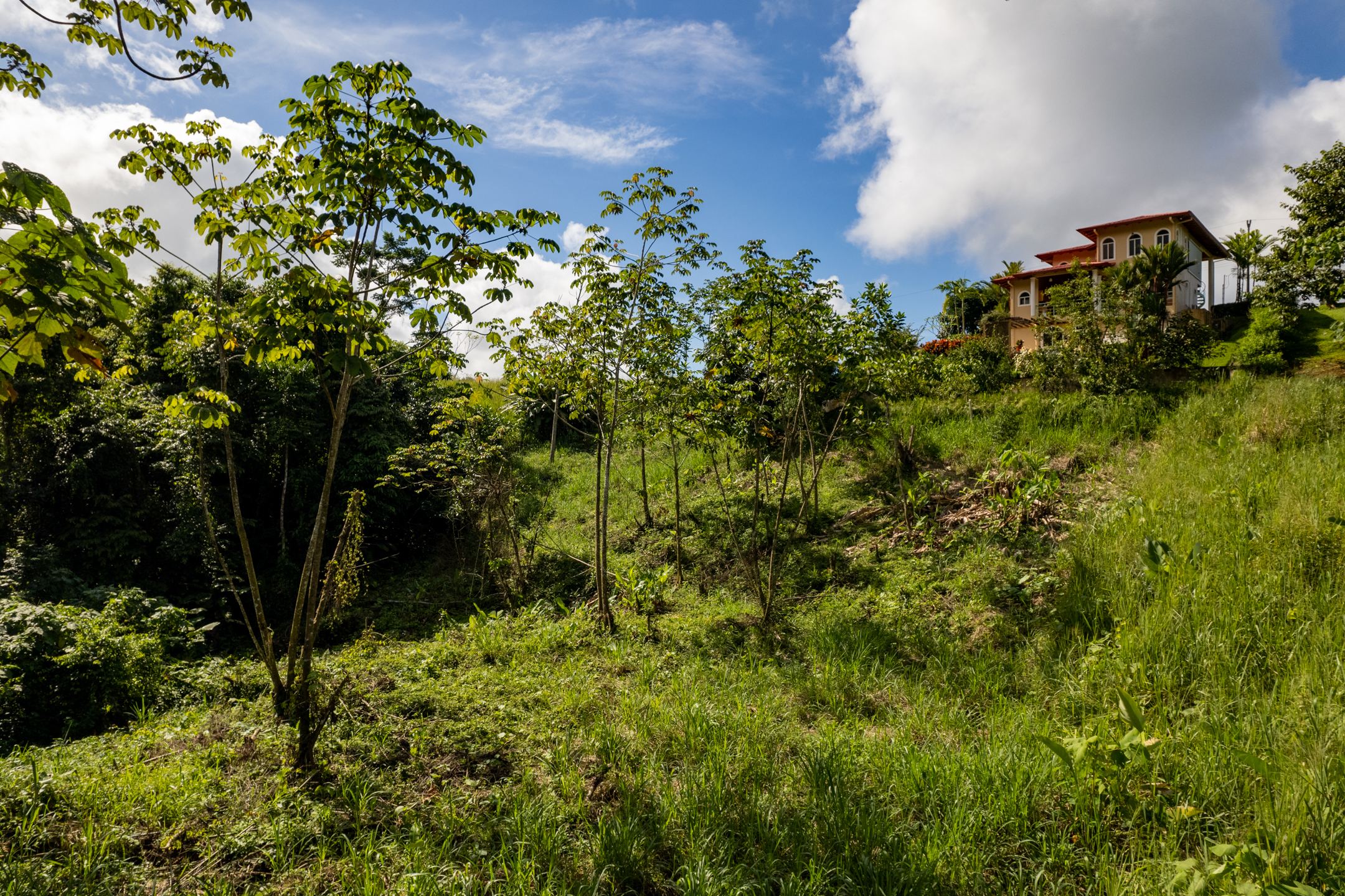 0 bed Land For Sale in Ojochal, Puntarenas - thumb 4