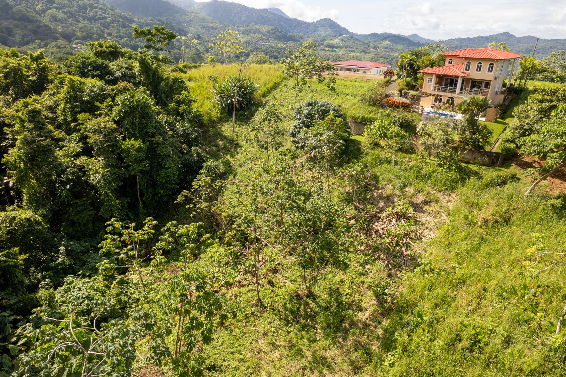 0 bed Land For Sale in Ojochal, Puntarenas - thumb 8