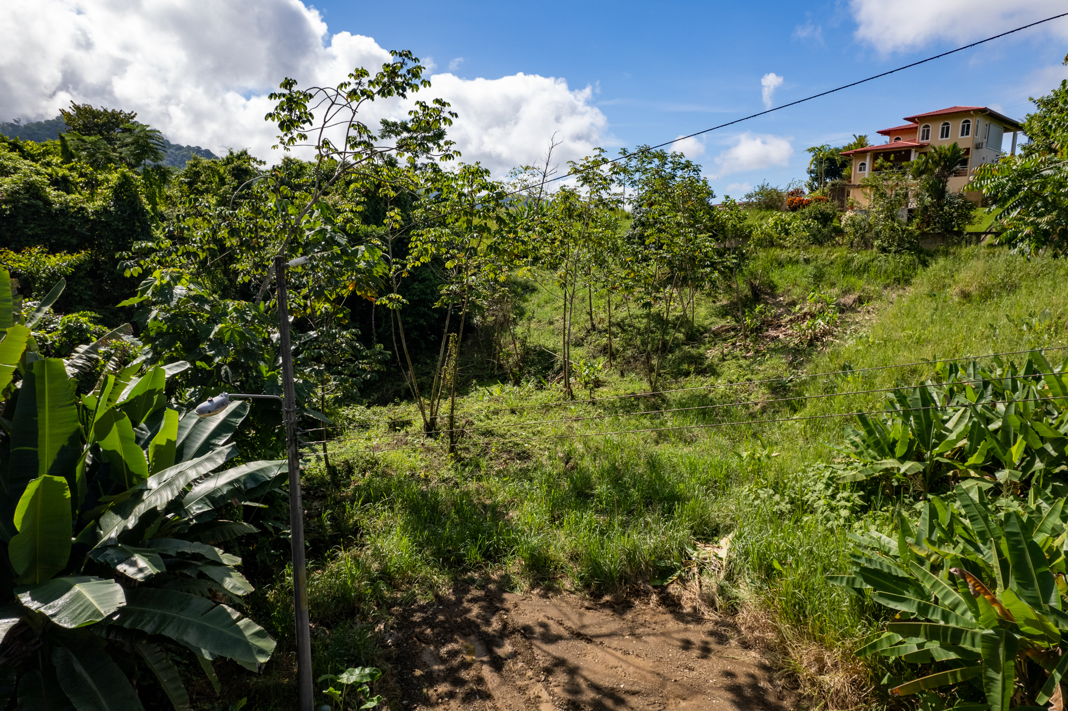 0 bed Land For Sale in Ojochal, Puntarenas - thumb 9