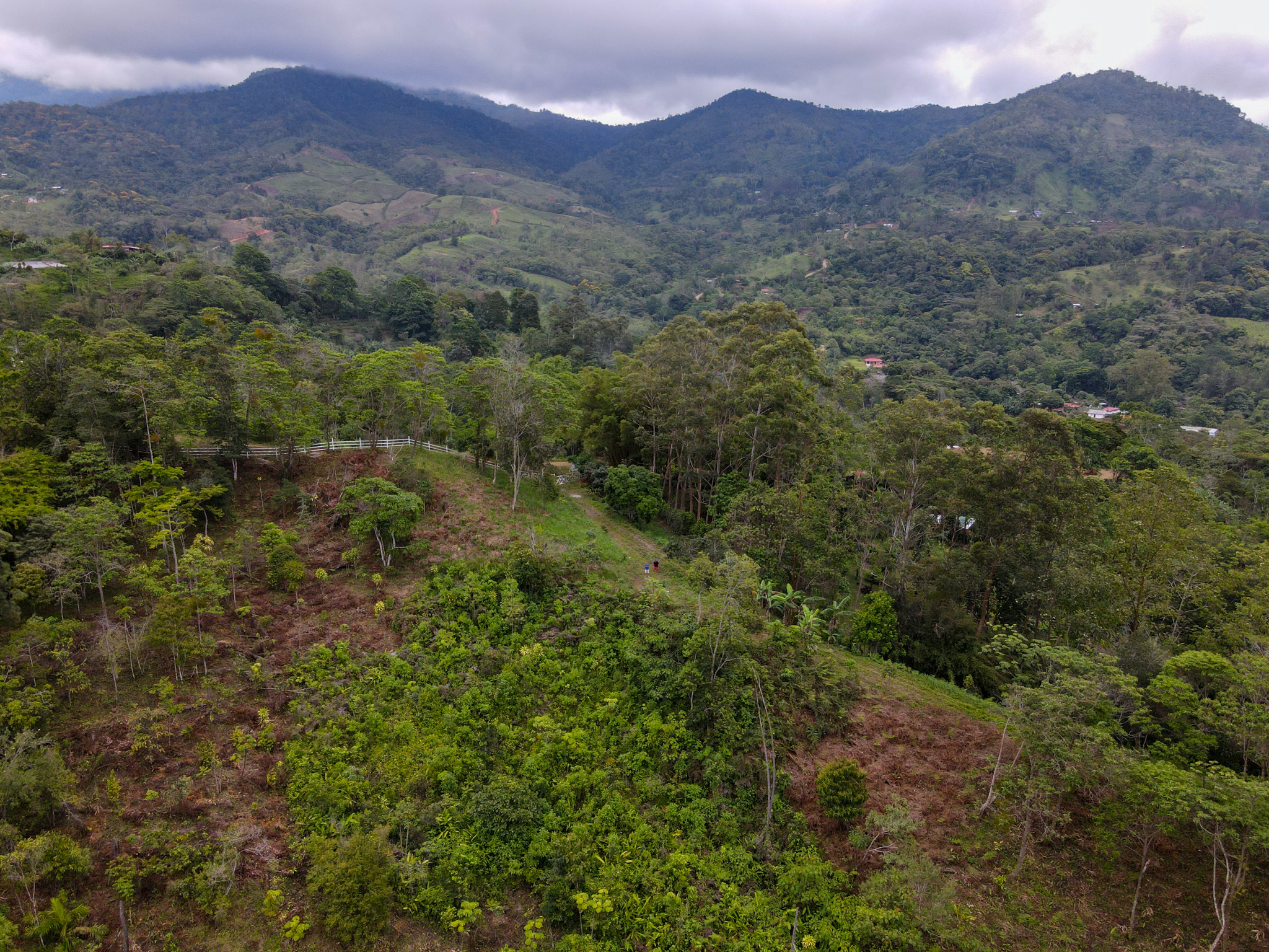 0 bed Land For Sale in Perez Zeledon, San Jose - thumb 7