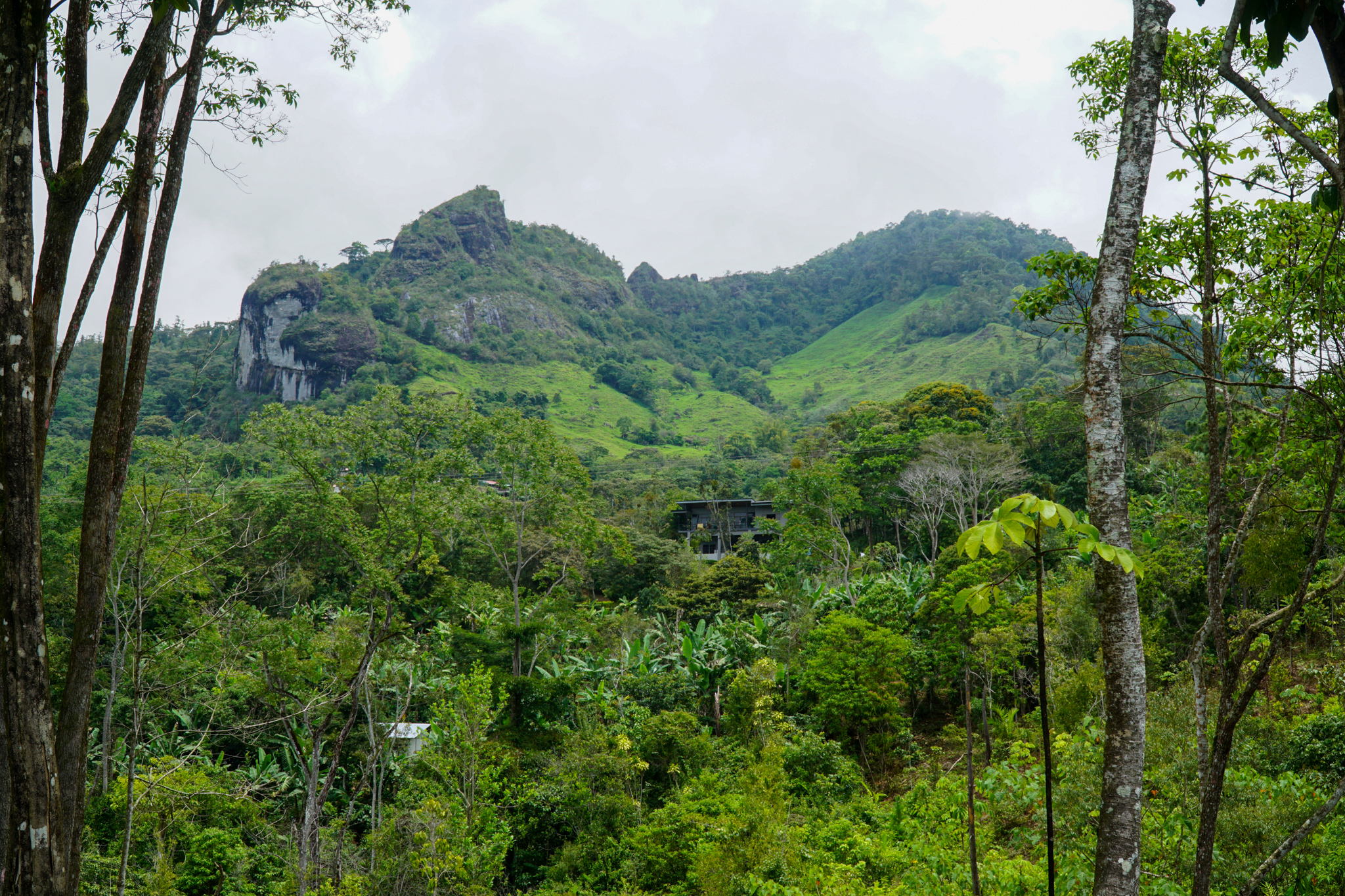 0 bed Land For Sale in Perez Zeledon, San Jose - thumb 1