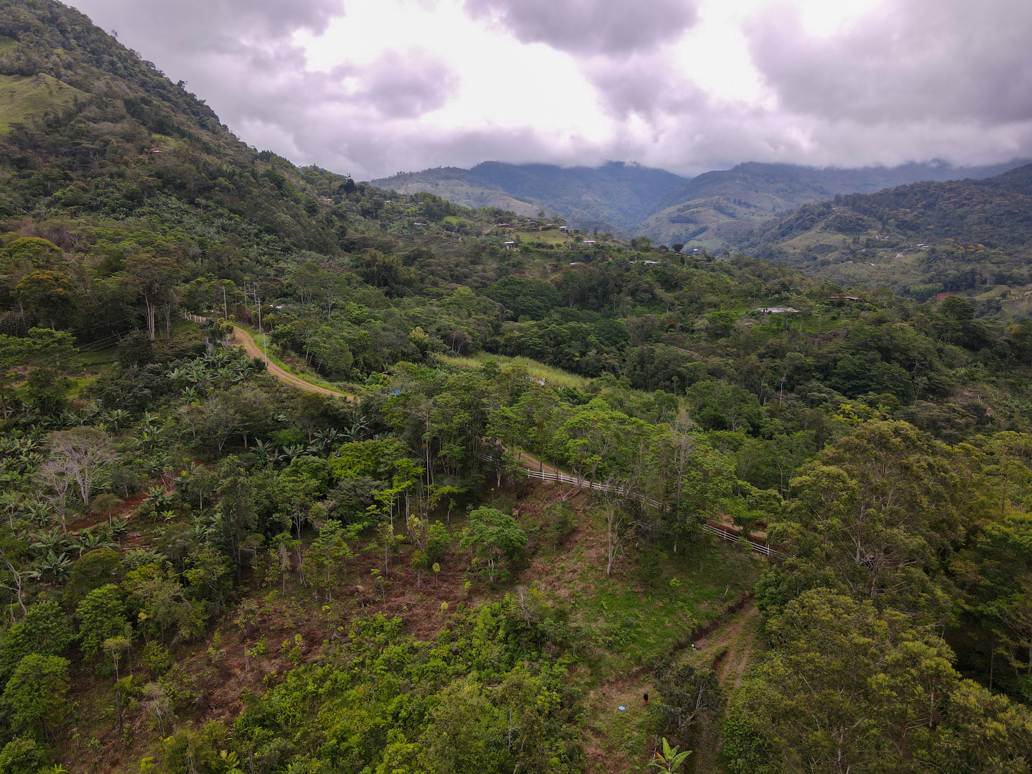 0 bed Land For Sale in Perez Zeledon, San Jose - thumb 3