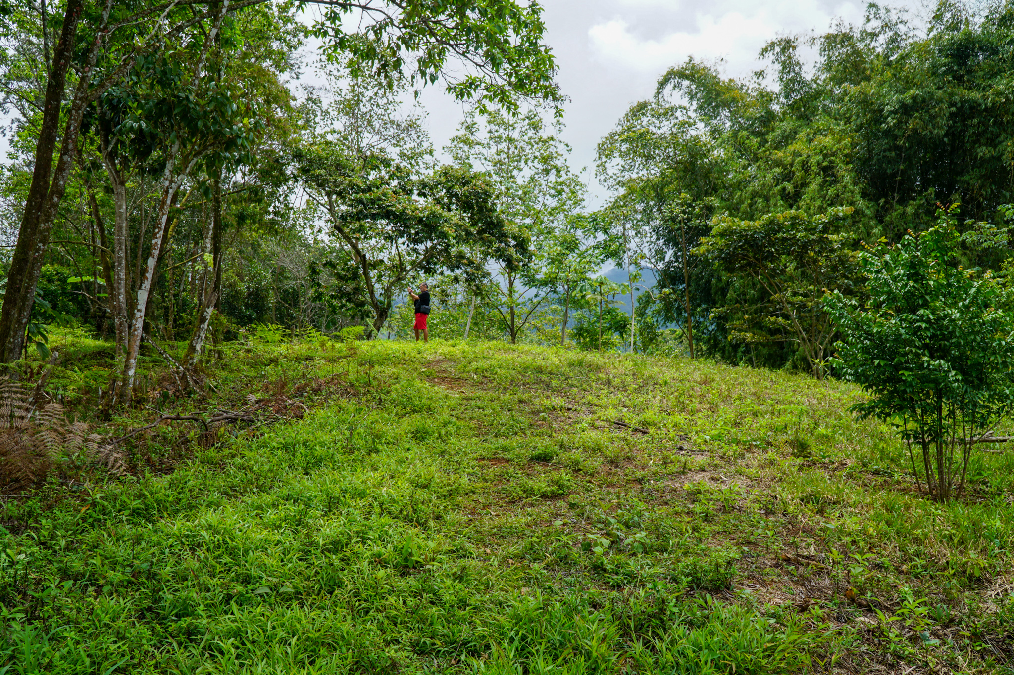 0 bed Land For Sale in Perez Zeledon, San Jose - thumb 14