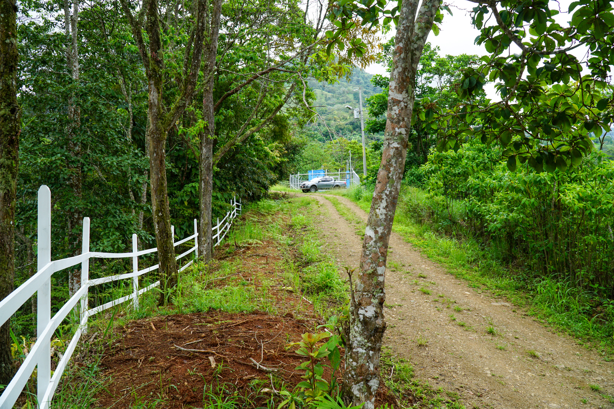 0 bed Land For Sale in Perez Zeledon, San Jose - thumb 18