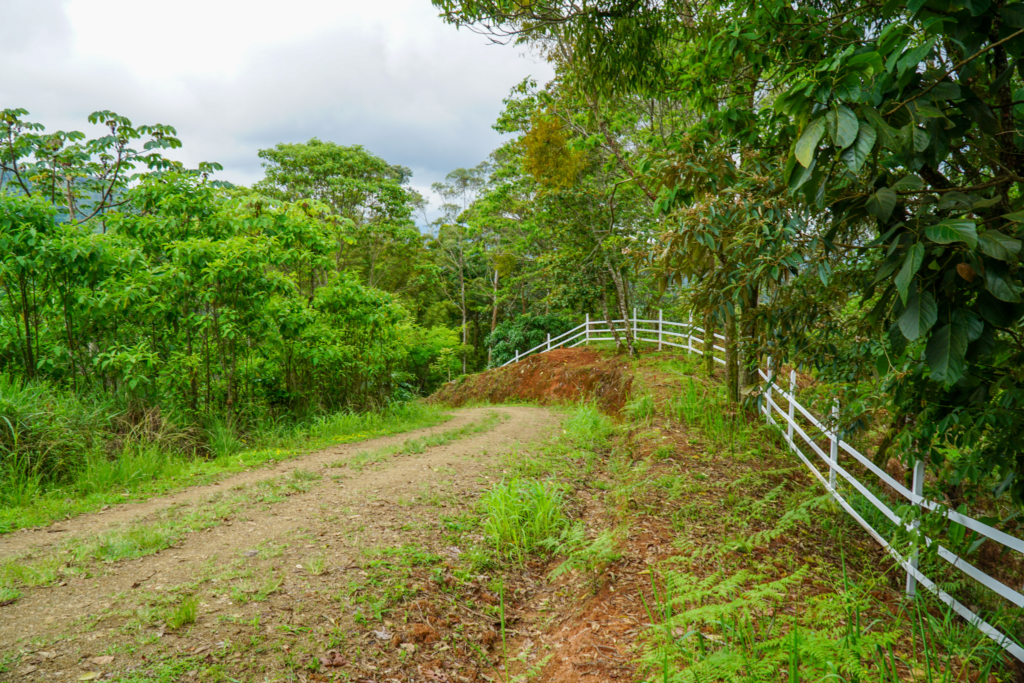 0 bed Land For Sale in Perez Zeledon, San Jose - thumb 15