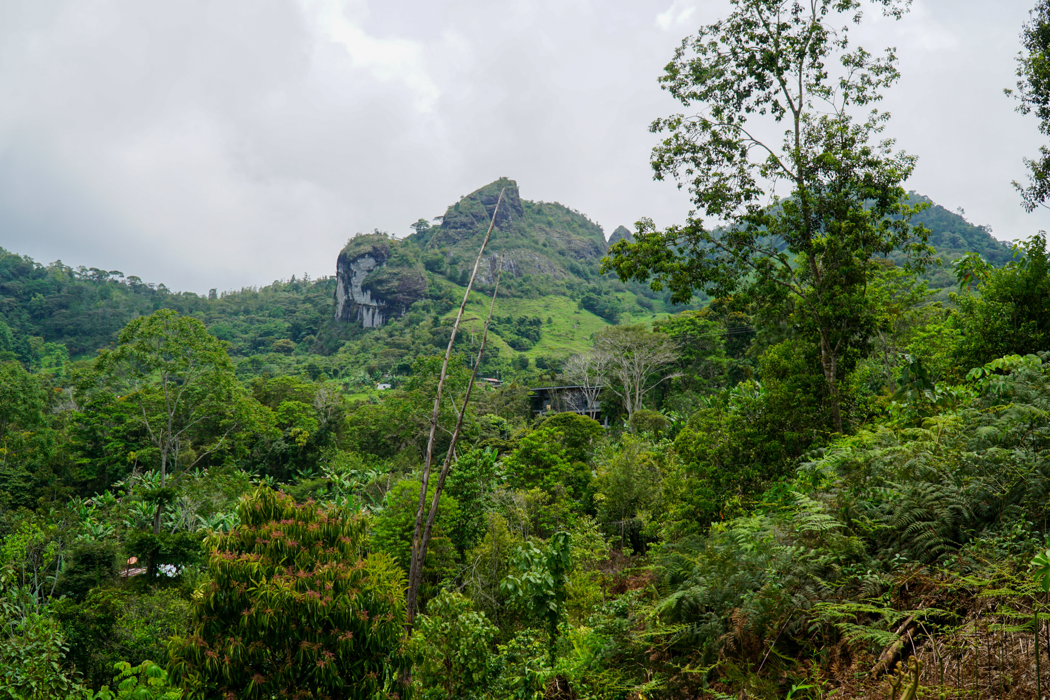 0 bed Land For Sale in Perez Zeledon, San Jose - thumb 11