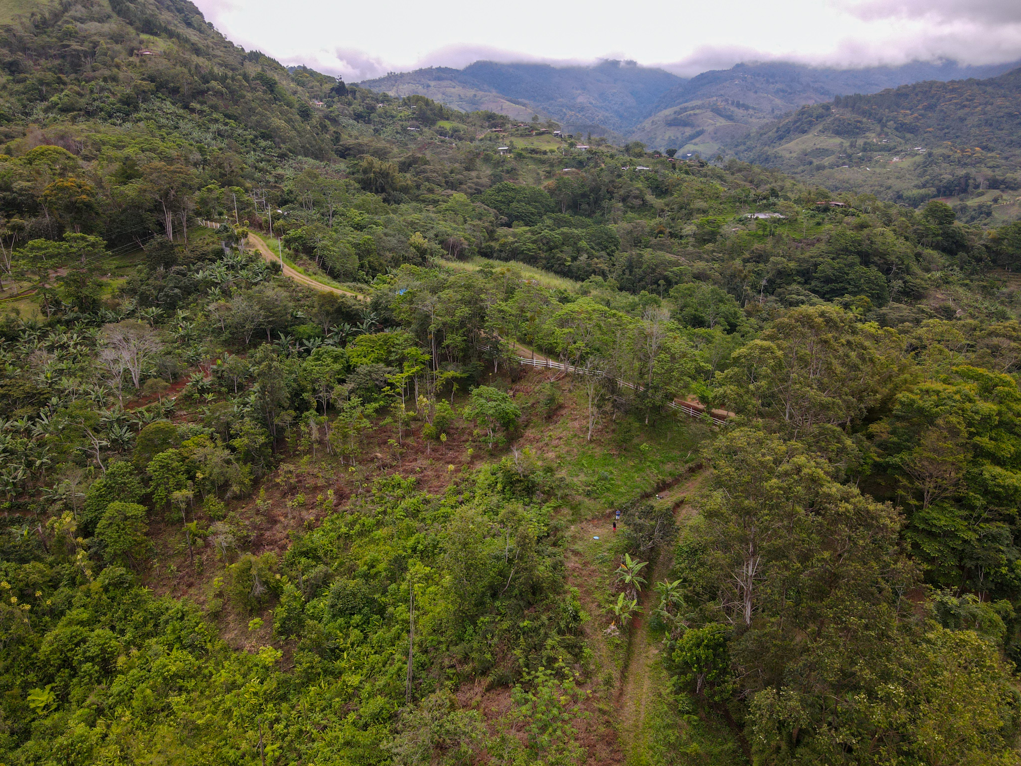 0 bed Land For Sale in Perez Zeledon, San Jose - thumb 4