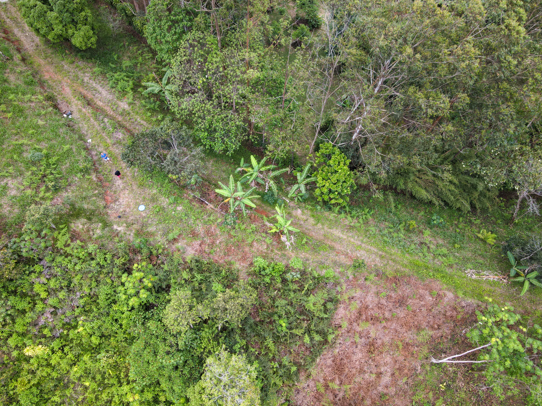 0 bed Land For Sale in Perez Zeledon, San Jose - thumb 2