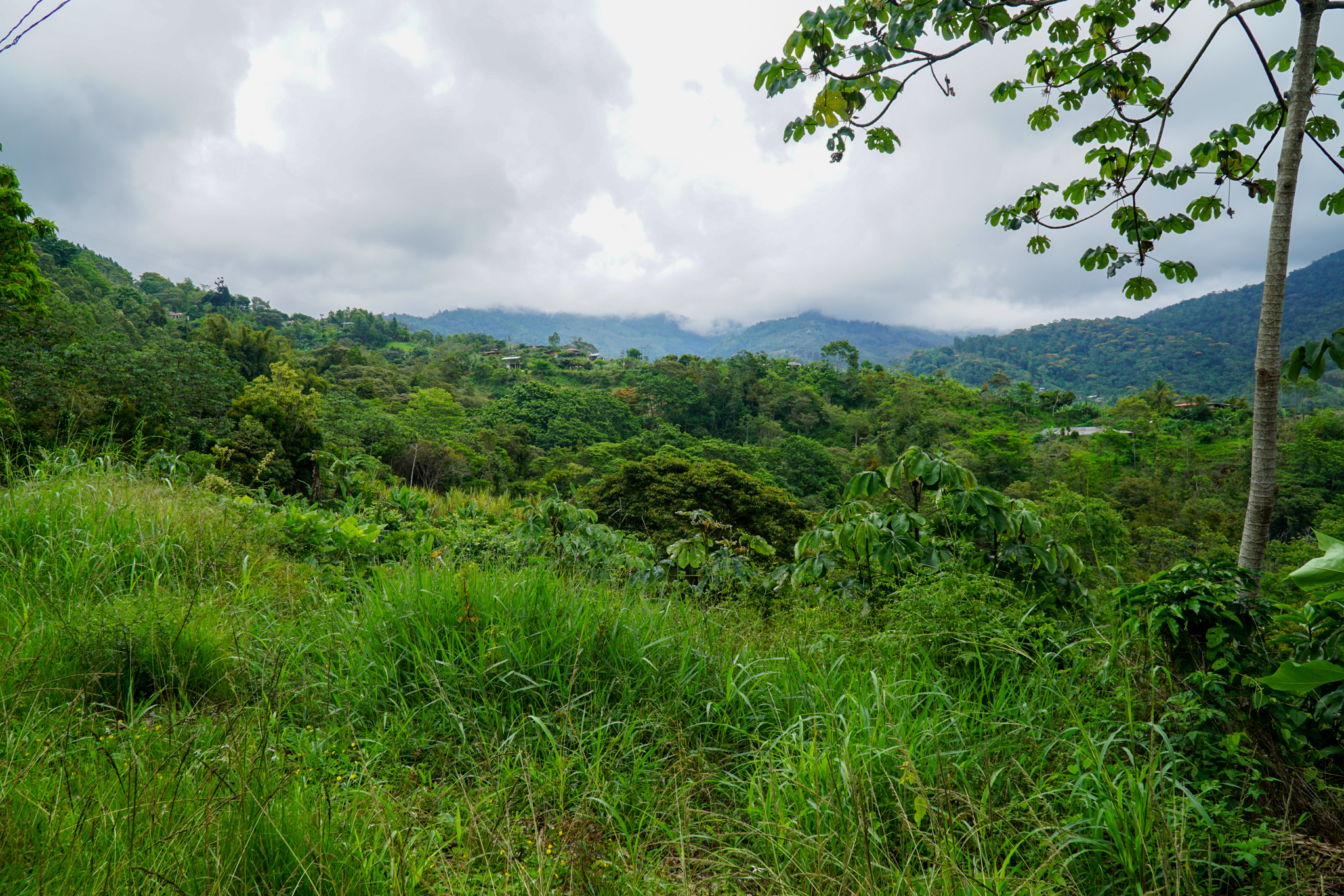 0 bed Land For Sale in Perez Zeledon, San Jose - thumb 19