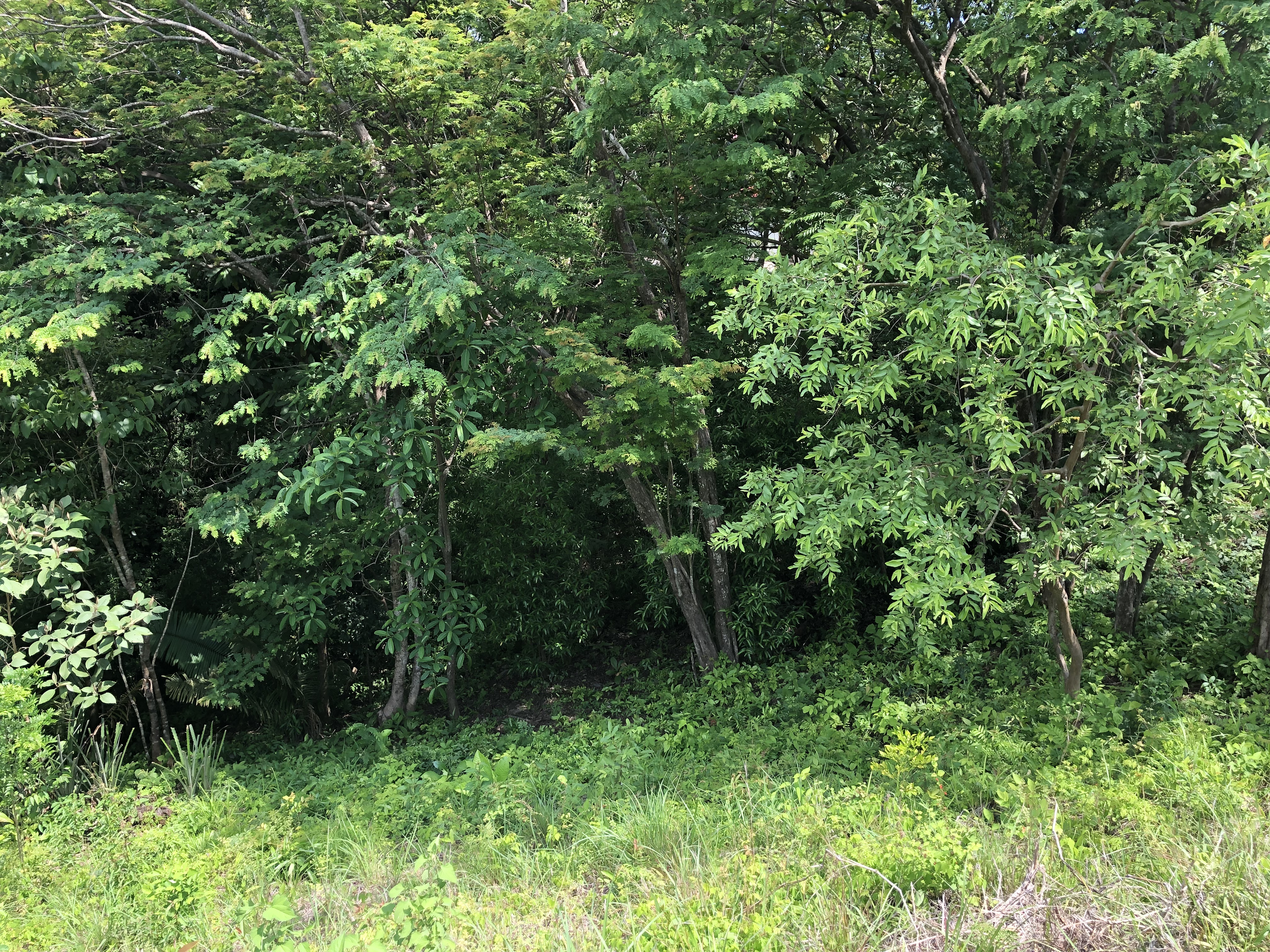 0 bed Land For Sale in Samara, Guanacaste - thumb 8