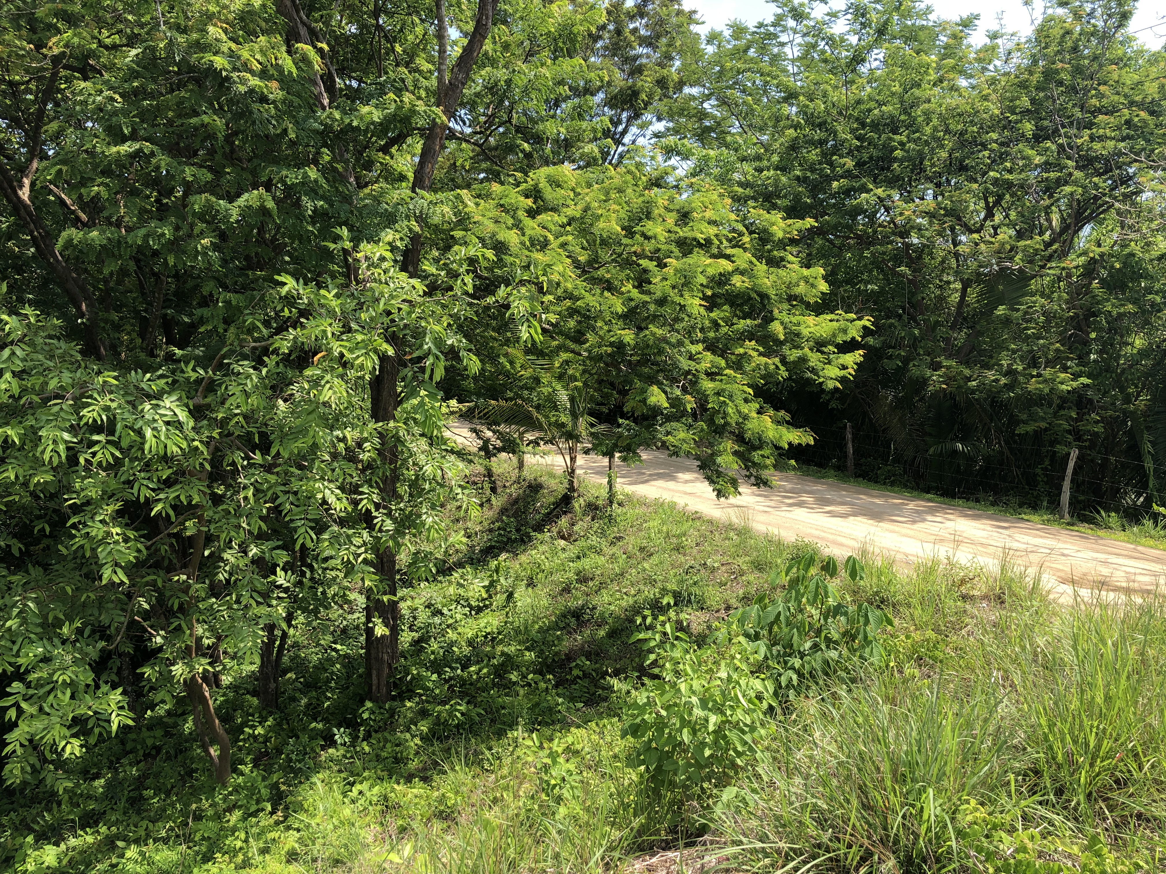 0 bed Land For Sale in Samara, Guanacaste - thumb 9