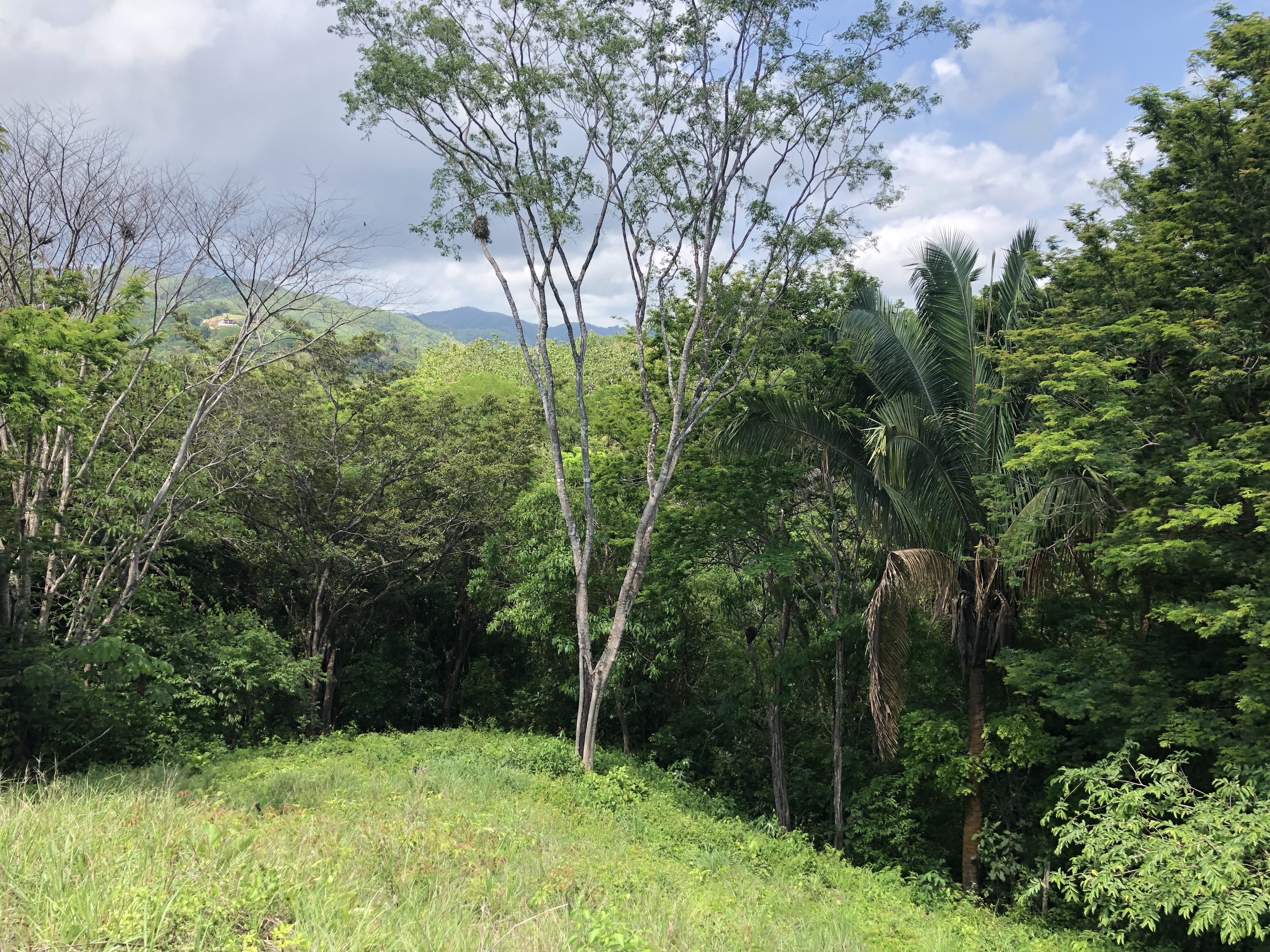 0 bed Land For Sale in Samara, Guanacaste - thumb 10