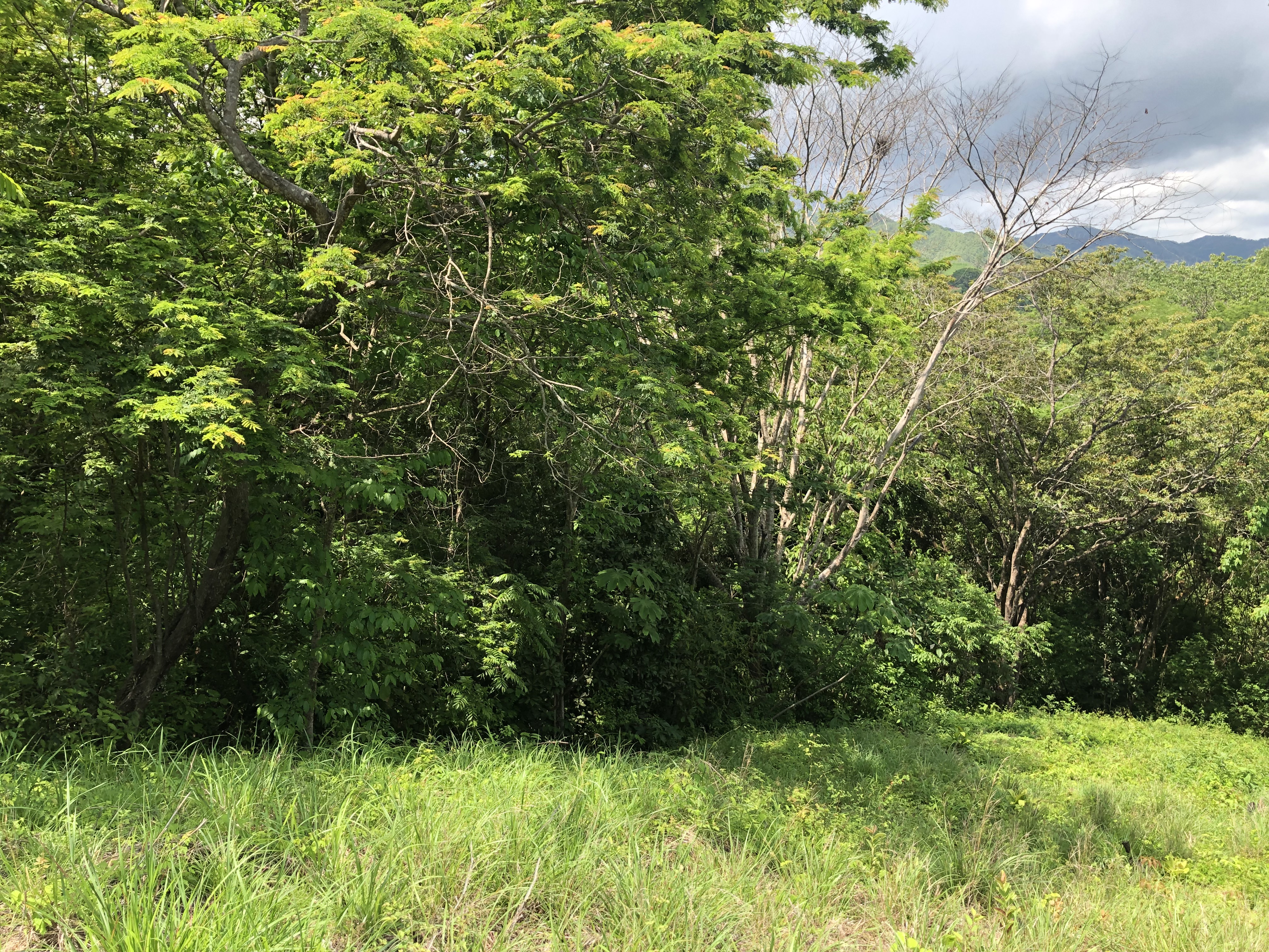0 bed Land For Sale in Samara, Guanacaste - thumb 3