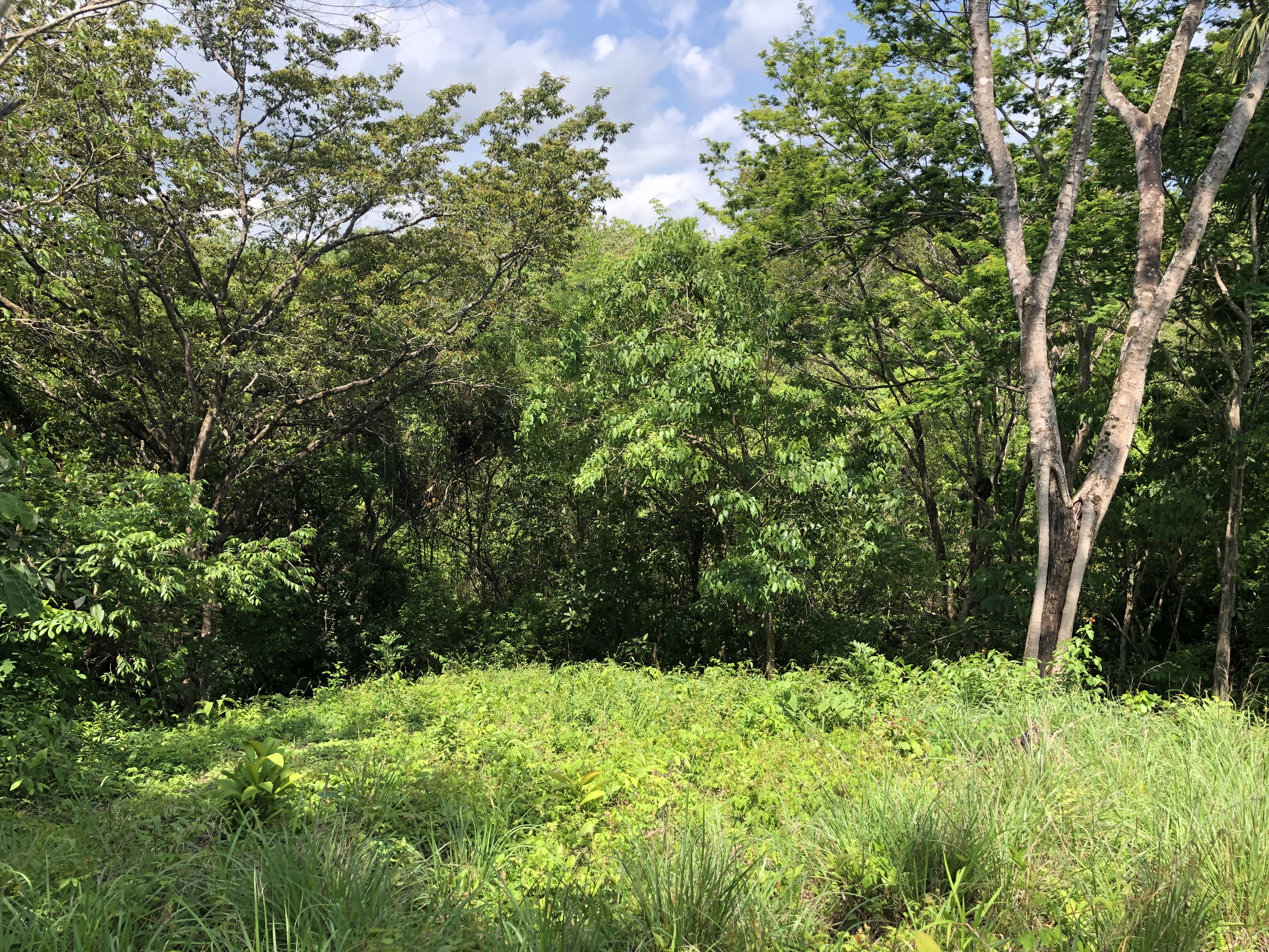 0 bed Land For Sale in Samara, Guanacaste - thumb 5