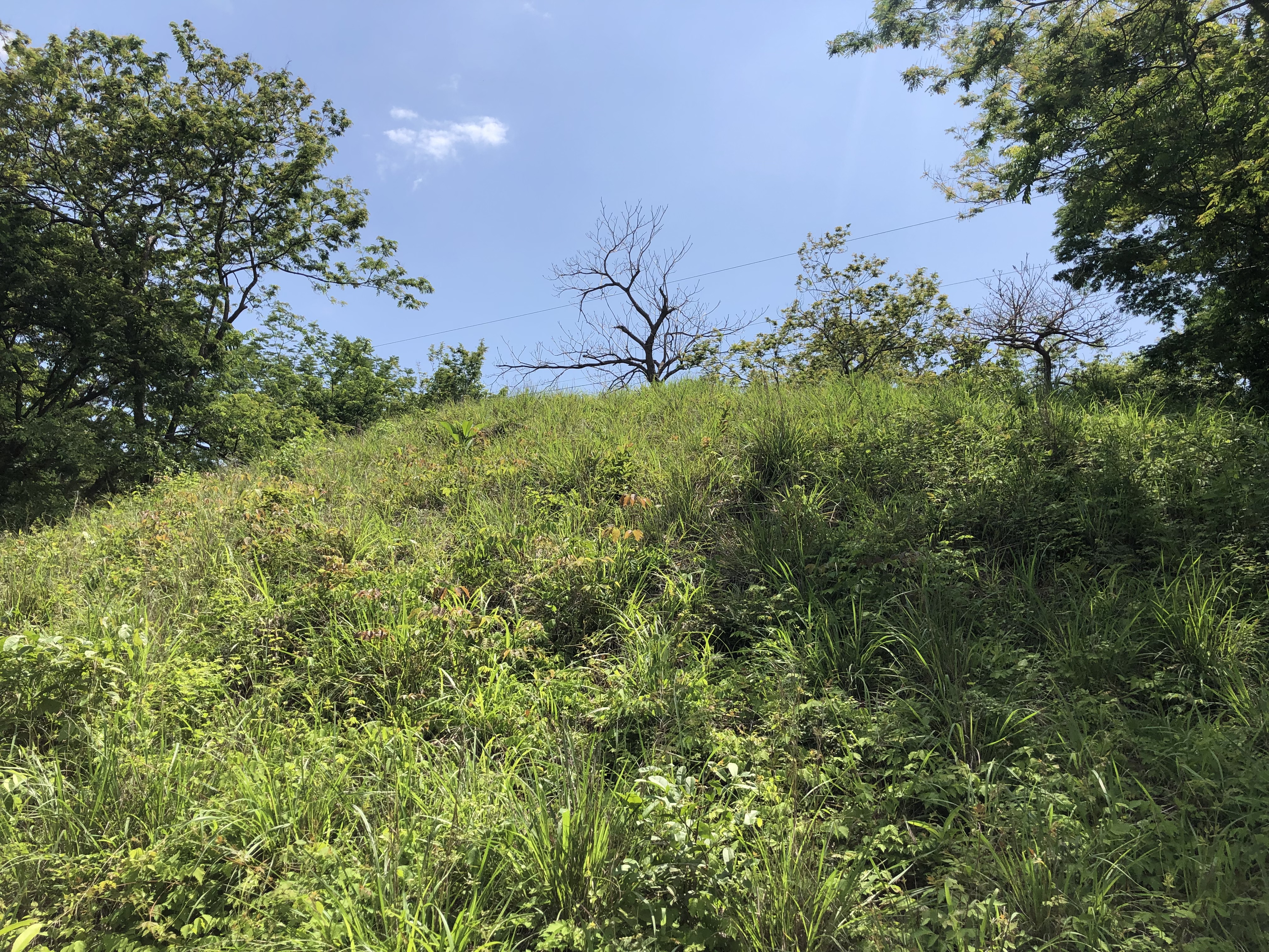 0 bed Land For Sale in Samara, Guanacaste - thumb 1