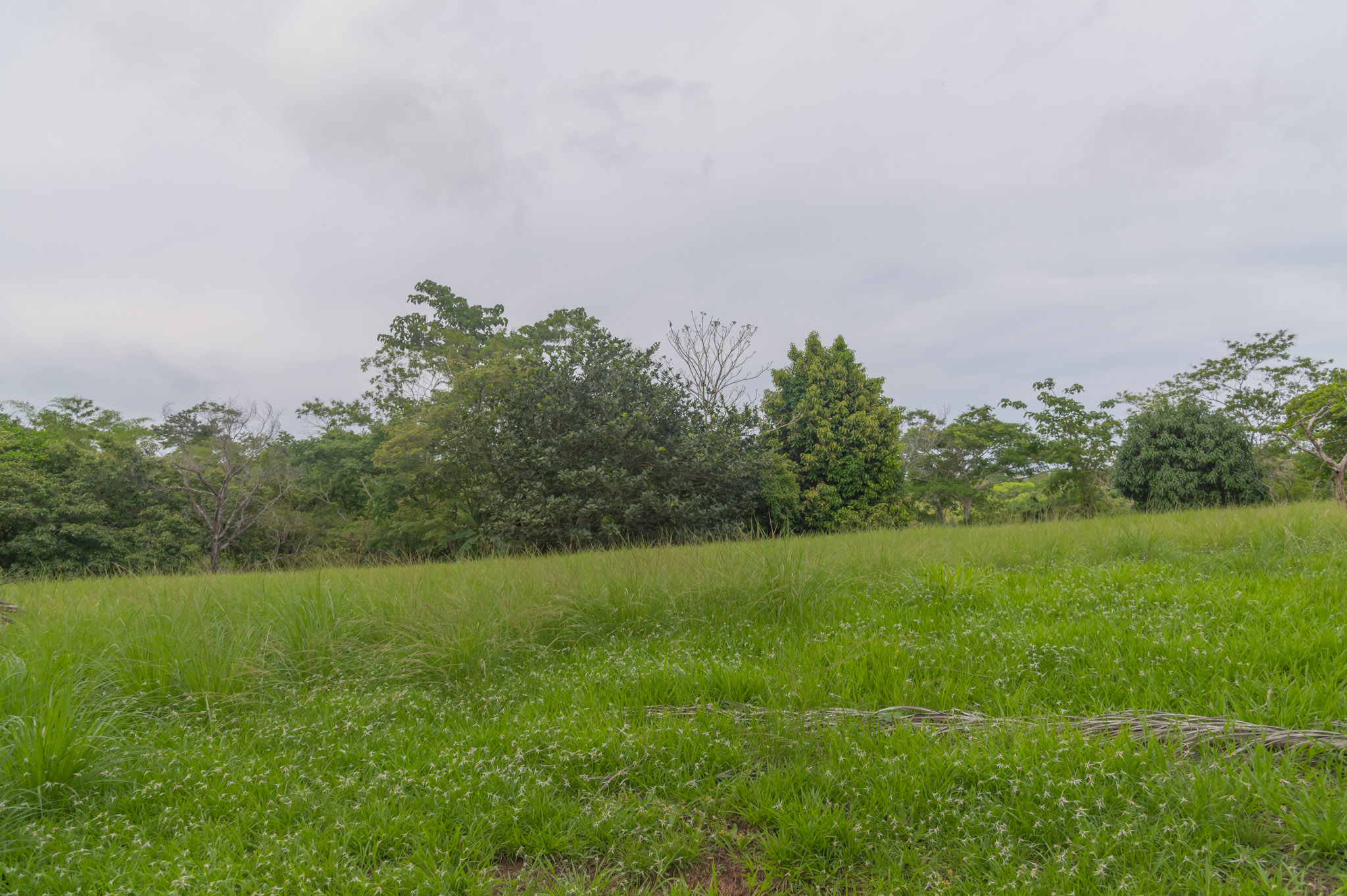 0 bed Land For Sale in Delicias, Puntarenas - thumb 2