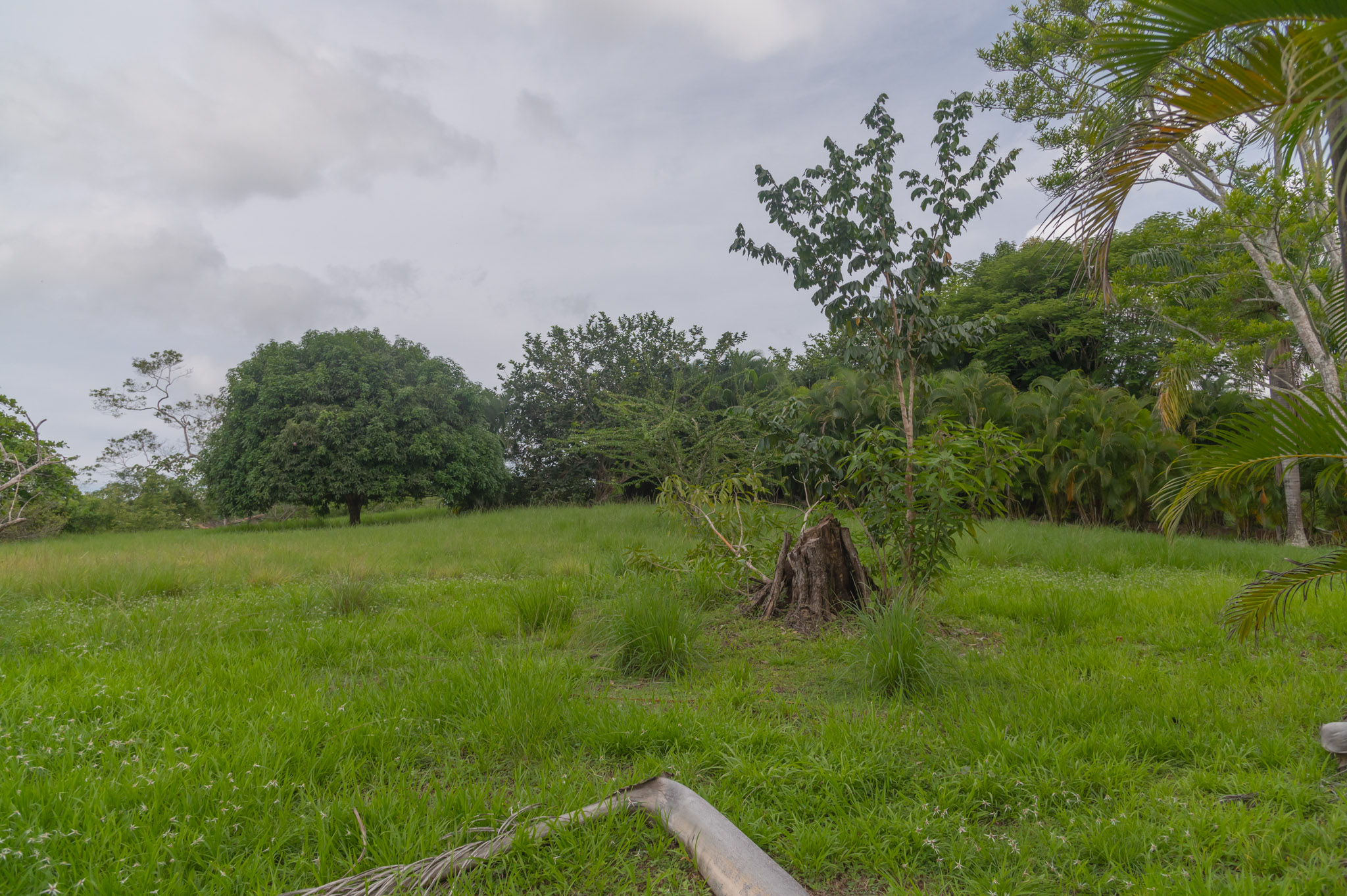 0 bed Land For Sale in Delicias, Puntarenas - thumb 3