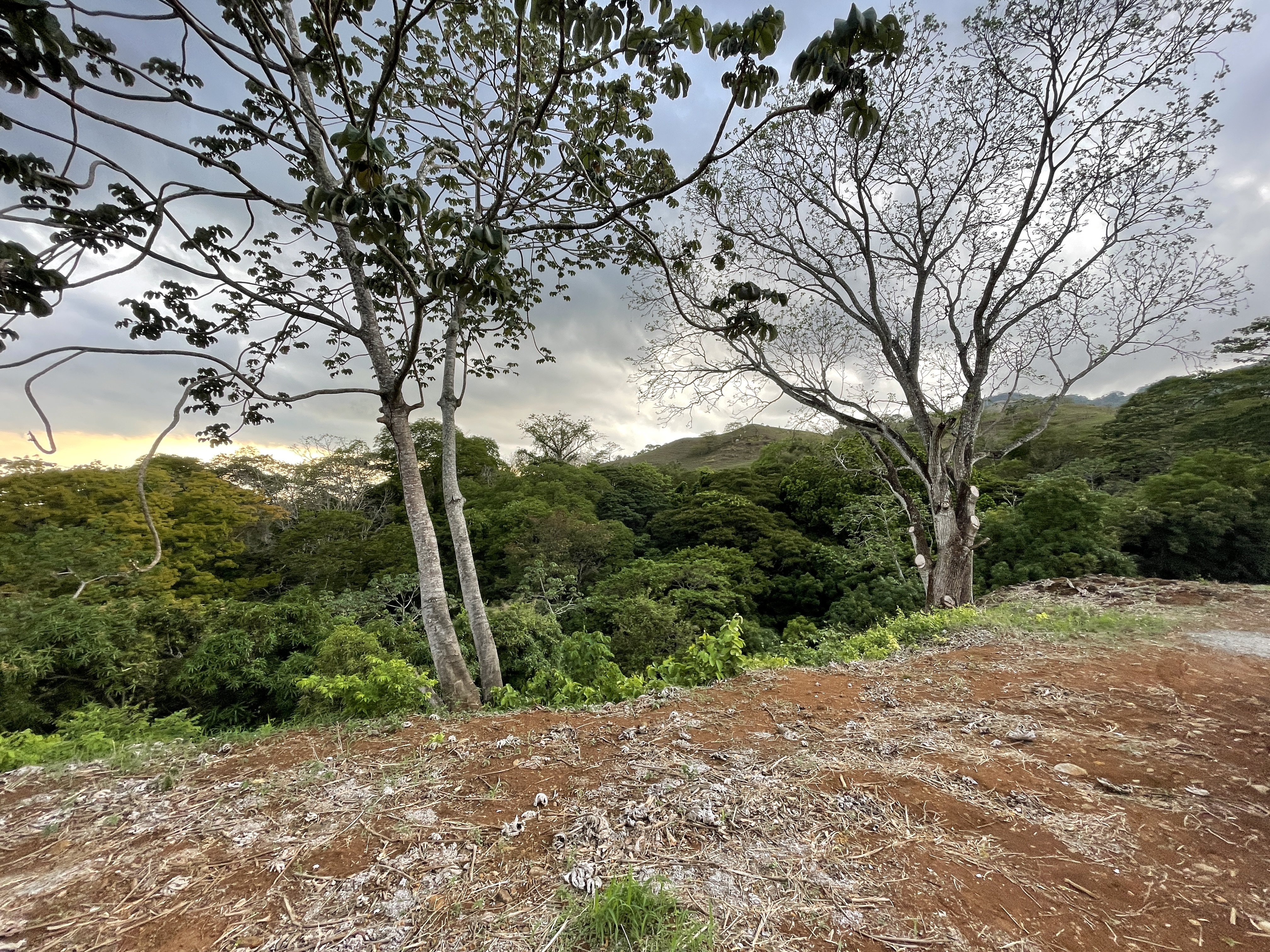 0 bed Land For Sale in Atenas, Alajuela - thumb 4