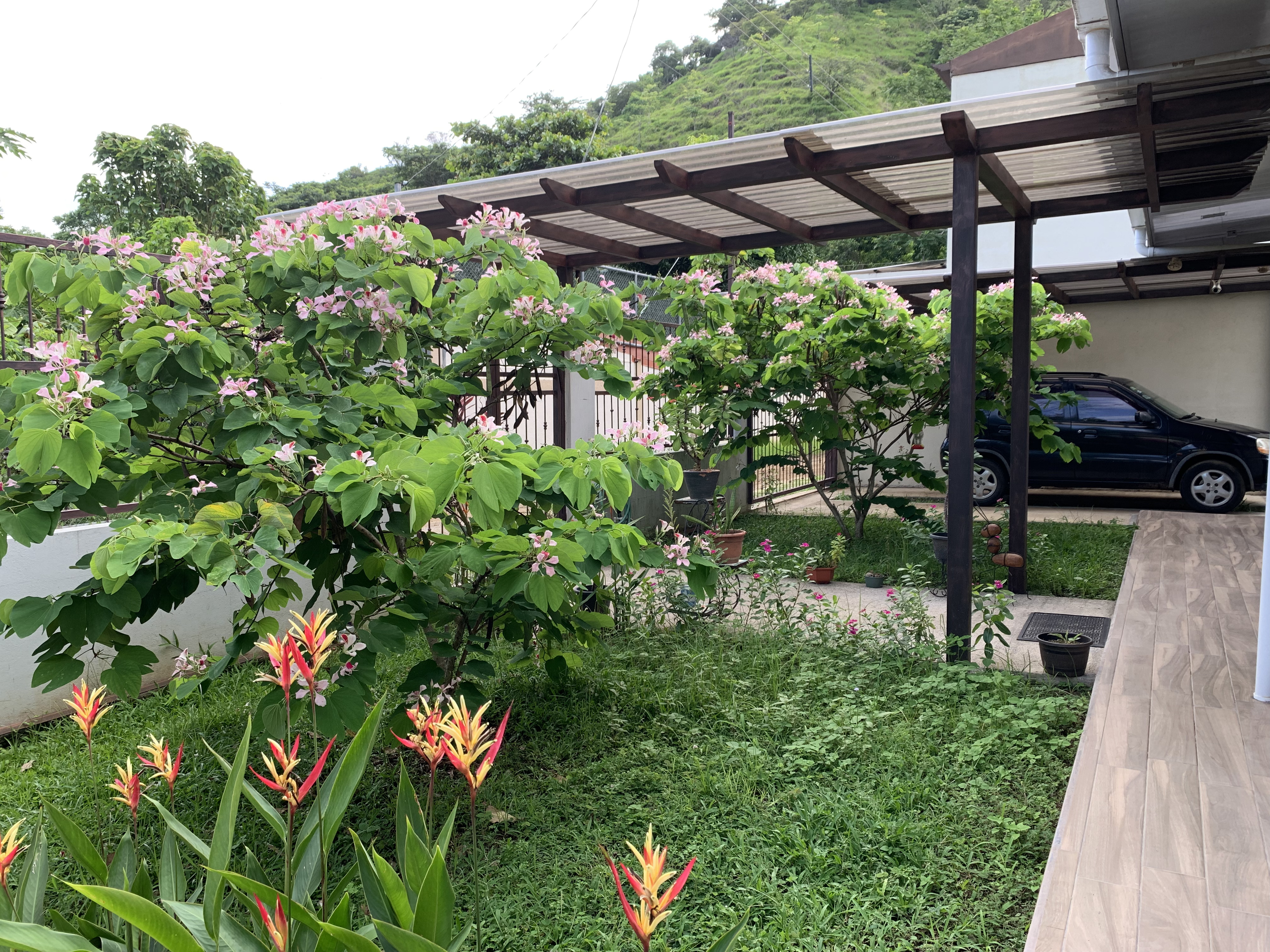 3 bed Single Family Homes For Sale in Jaco, Puntarenas - thumb 20