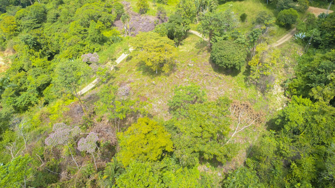 0 bed Land For Sale in Dominical, Puntarenas - thumb 5