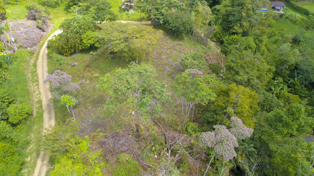 0 bed Land For Sale in Dominical, Puntarenas - thumb 16