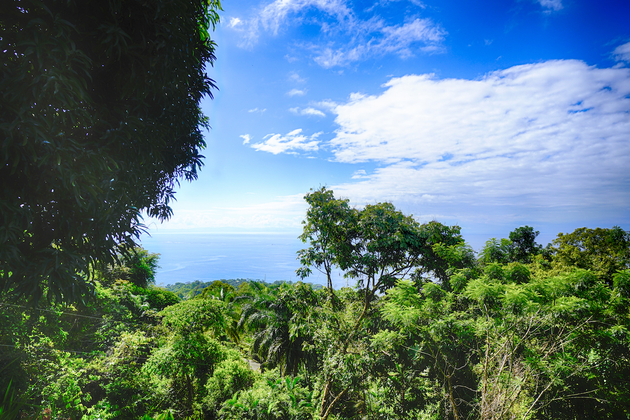 0 bed Land For Sale in Dominical, Puntarenas - thumb 9