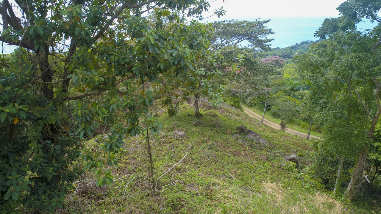 0 bed Land For Sale in Dominical, Puntarenas - thumb 12