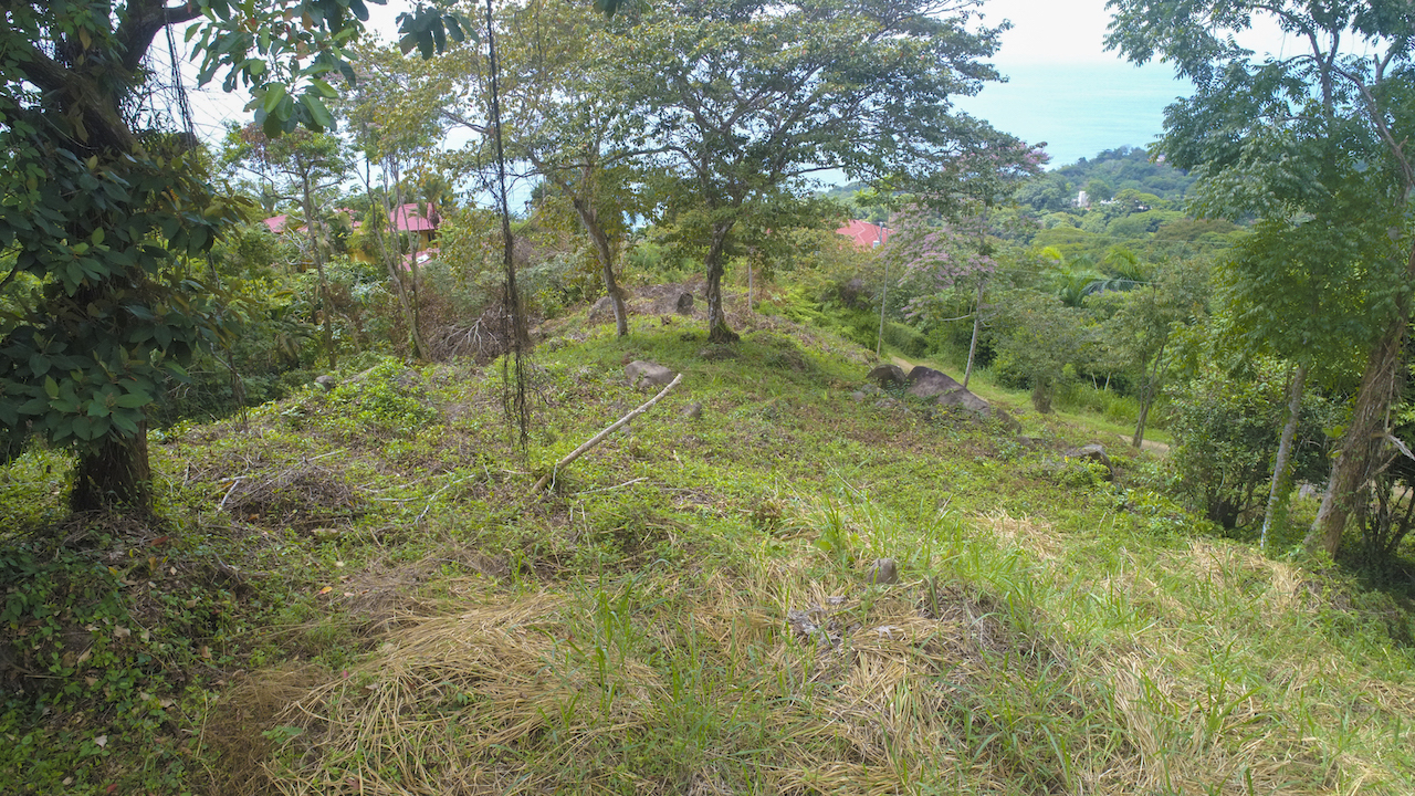 0 bed Land For Sale in Dominical, Puntarenas - thumb 13