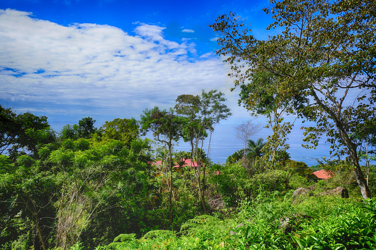 0 bed Land For Sale in Dominical, Puntarenas - thumb 11